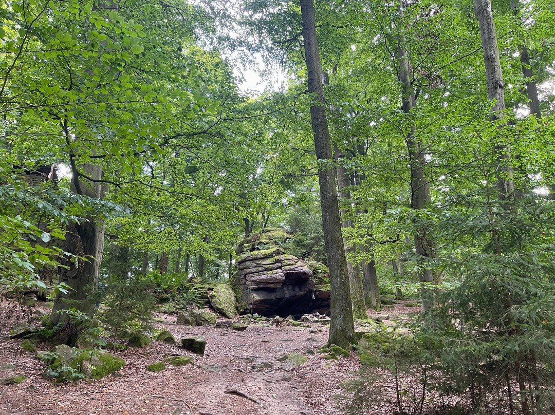 Choustnik Castle Ruins-Choustnik必去景点