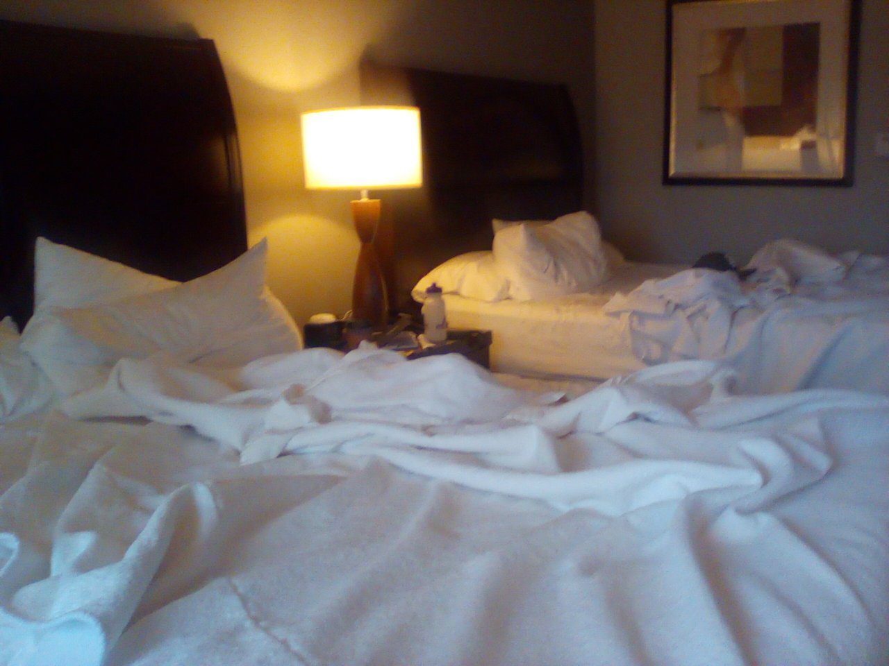 明尼阿波利斯市区希尔顿花园旅馆-客卧