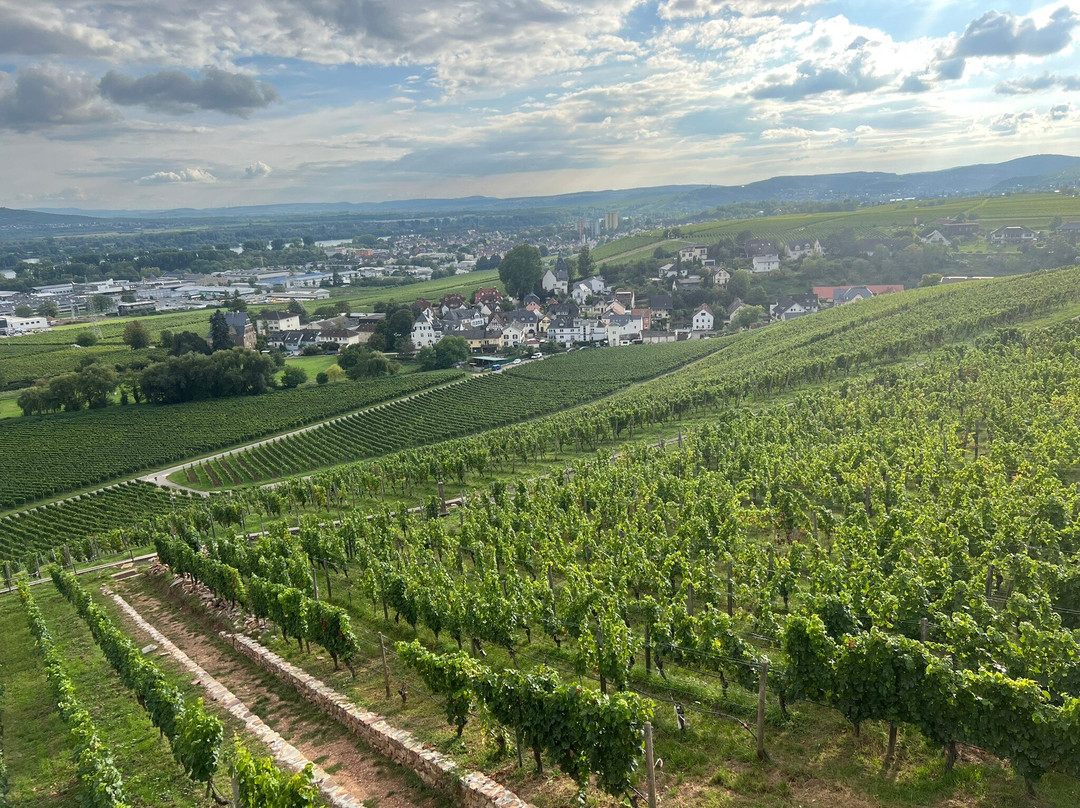 Schloss Johannisberg-盖森海姆必去景点