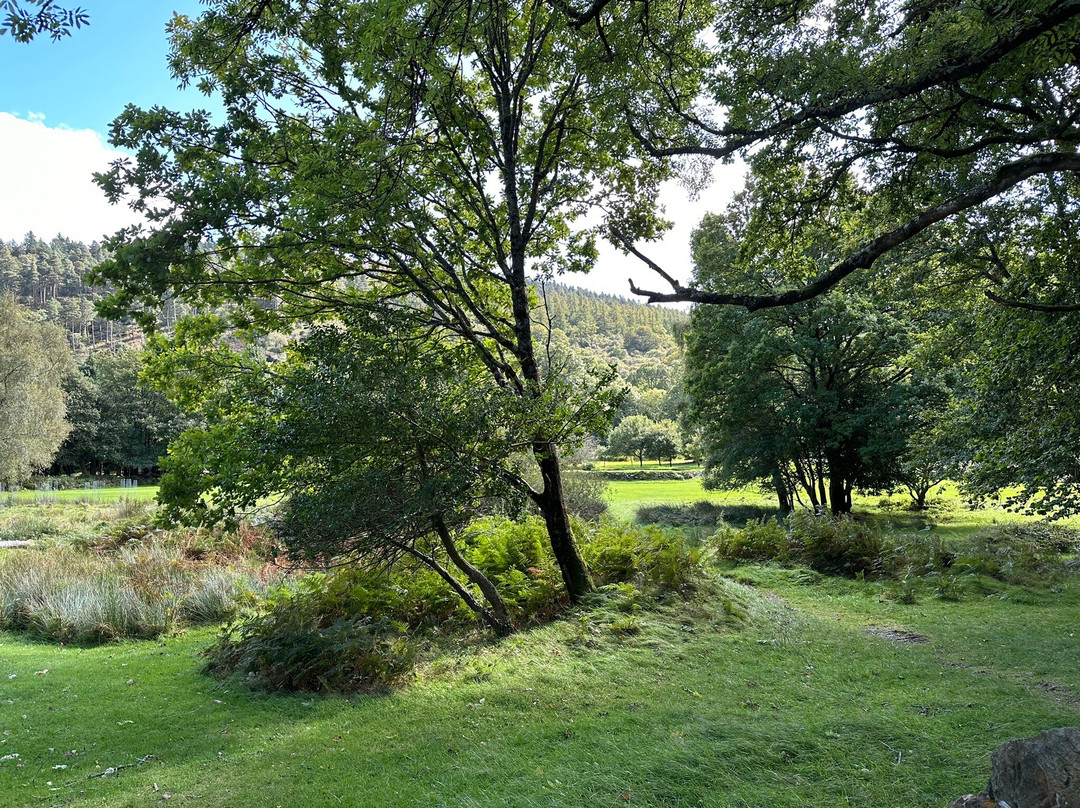 Dublin Chauffeur Services-都柏林必去景点