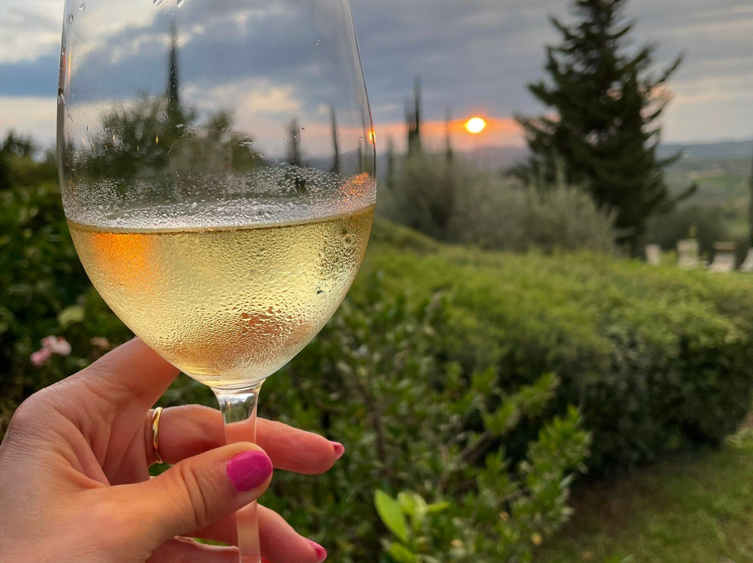 Agriturismo Fonte de' Medici主图