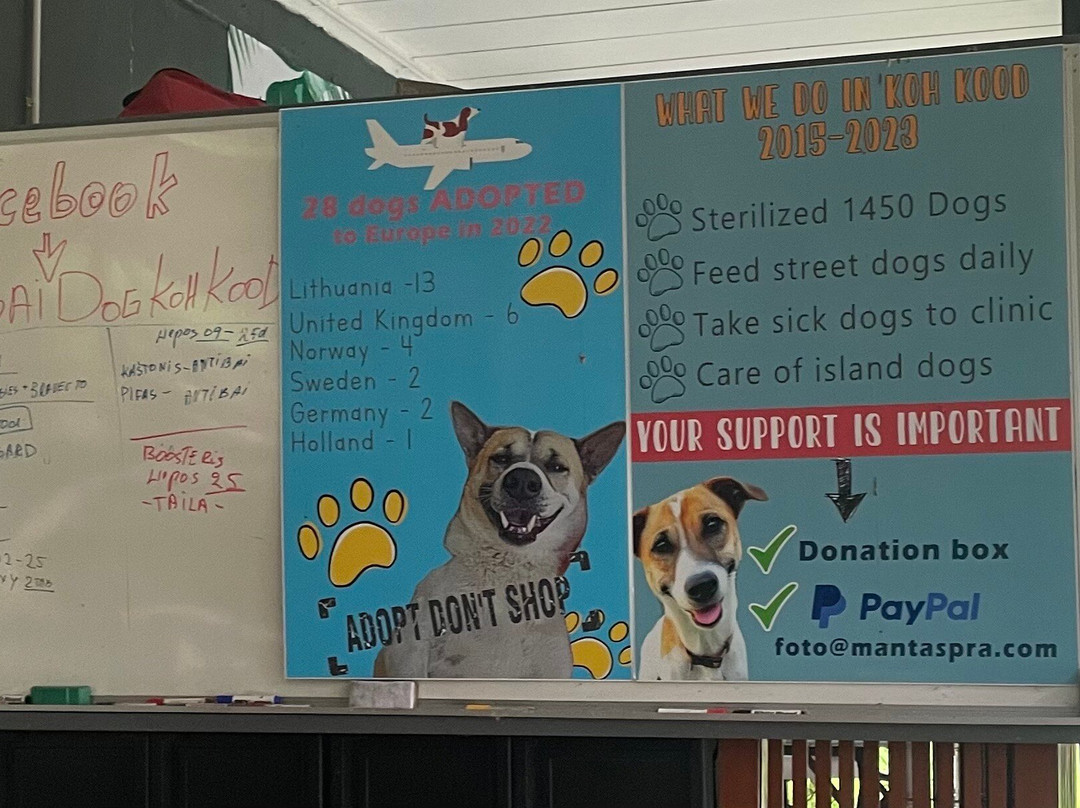 Sabai Dog-阁骨岛必去景点