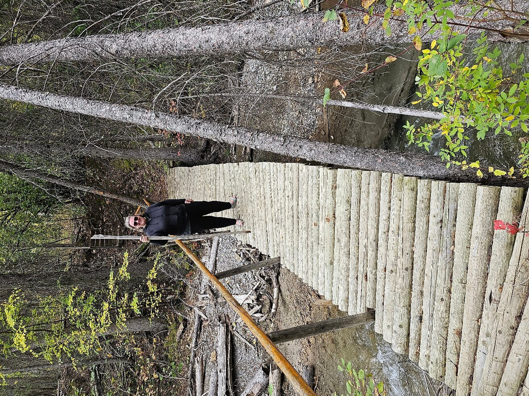 Windermere Creek Bed and Breakfast Cabins主图