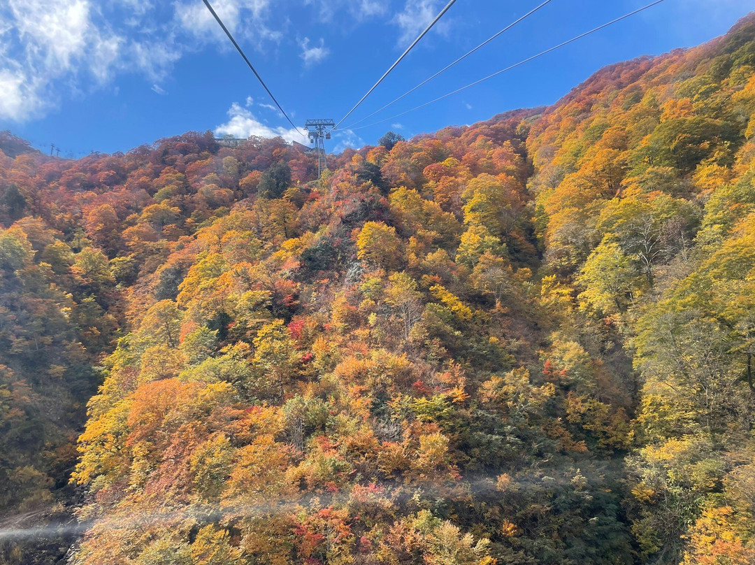 Mount Tanigawa景点图片