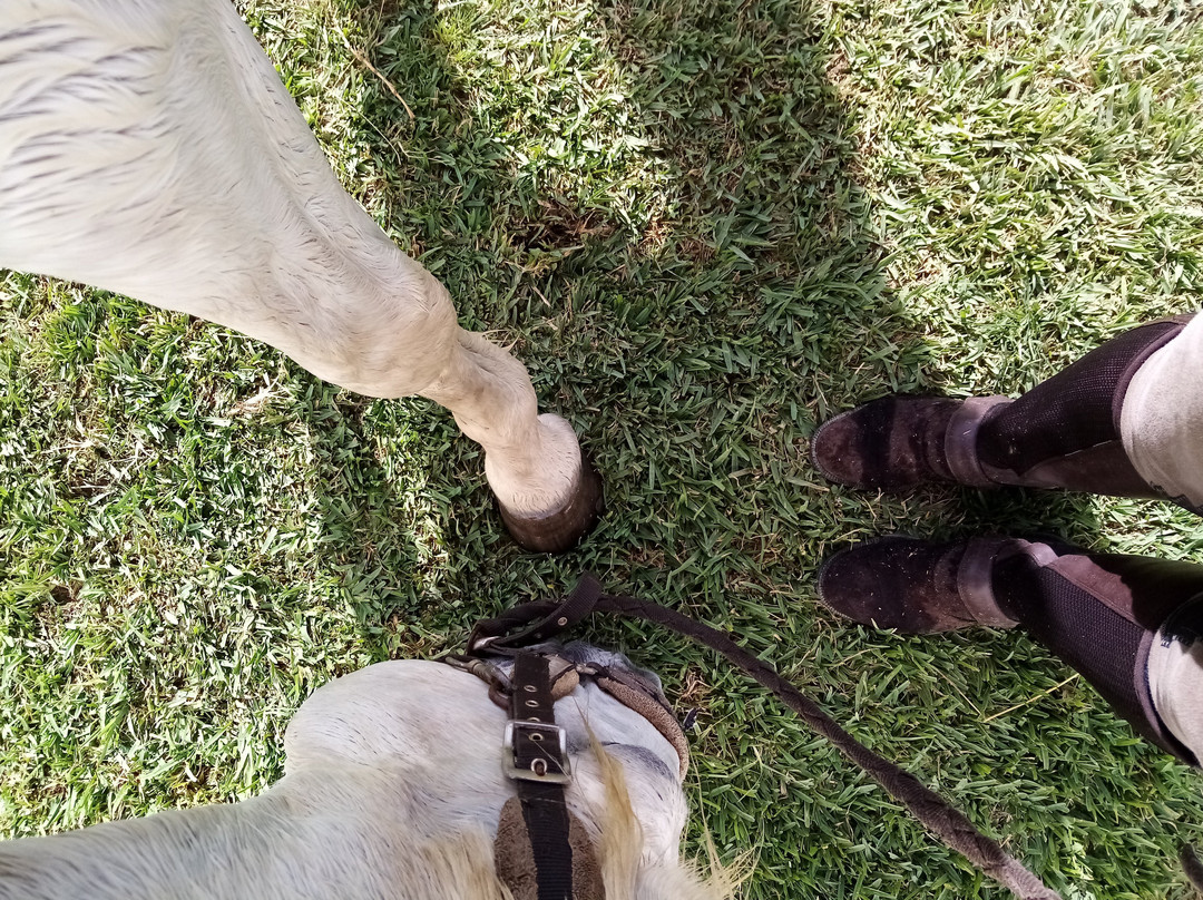 Equi Cascais-卡斯凯什必去景点