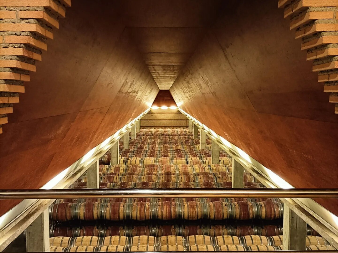 Bodega ENATE景点图片