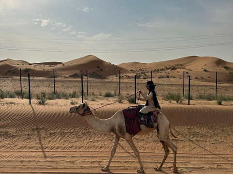 Arabian Desert Camel Riding Center-迪拜必去景点