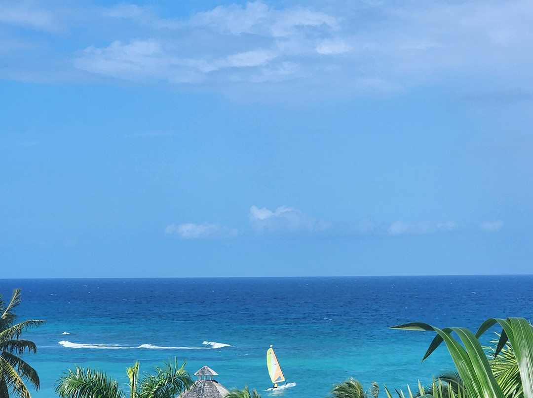 Hyatt Ziva Rose Hall主图