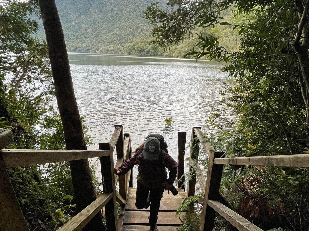 Parque Nacional Alerce Andino景点图片