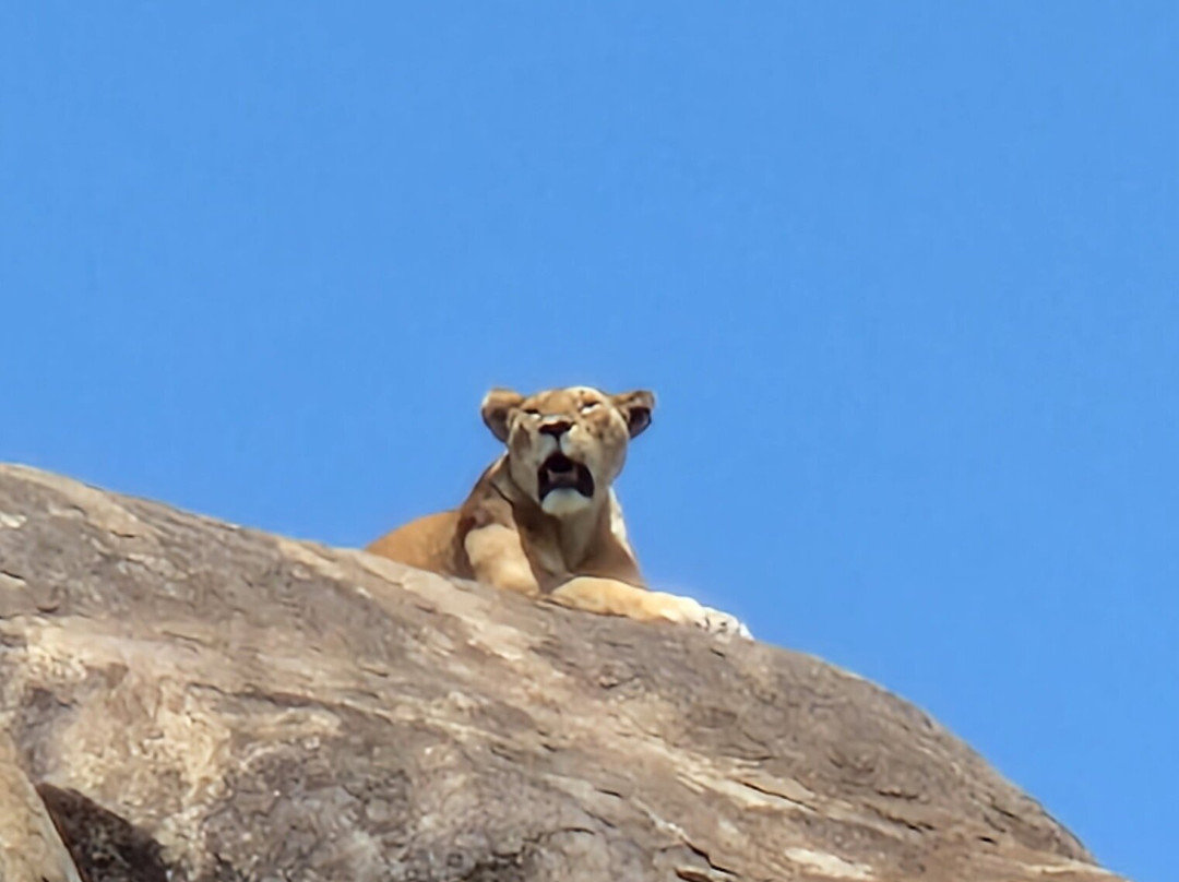 Volcano Tanzania Adventures-阿鲁沙必去景点