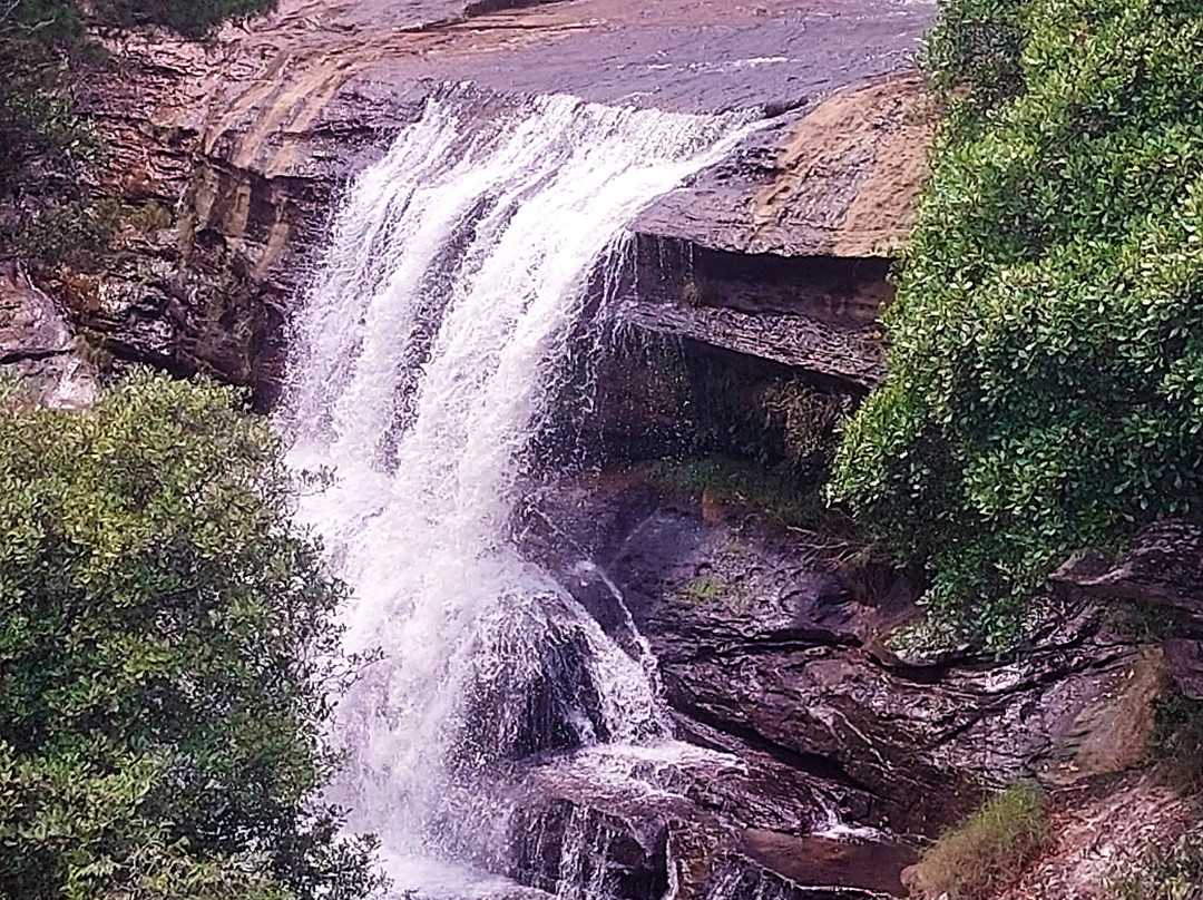 Parque Estadual do Vale do Codo景点图片