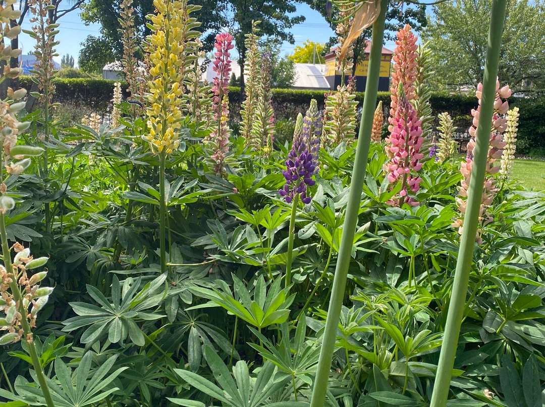 廊奇思通美居酒店 主图