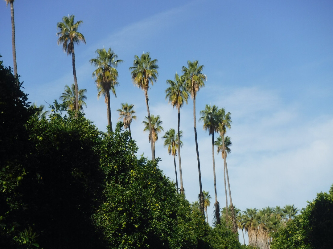 California Citrus State Historic Park-里弗赛德必去景点
