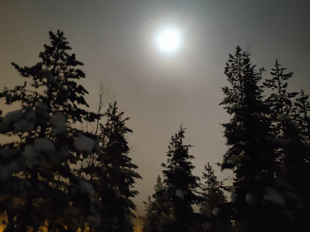 北极圈标线雪地公园-罗瓦涅米必去景点