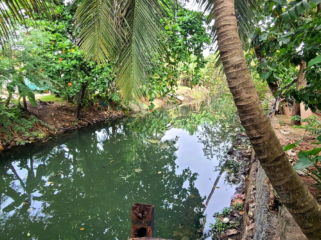 夏季侧住宅酒店主图