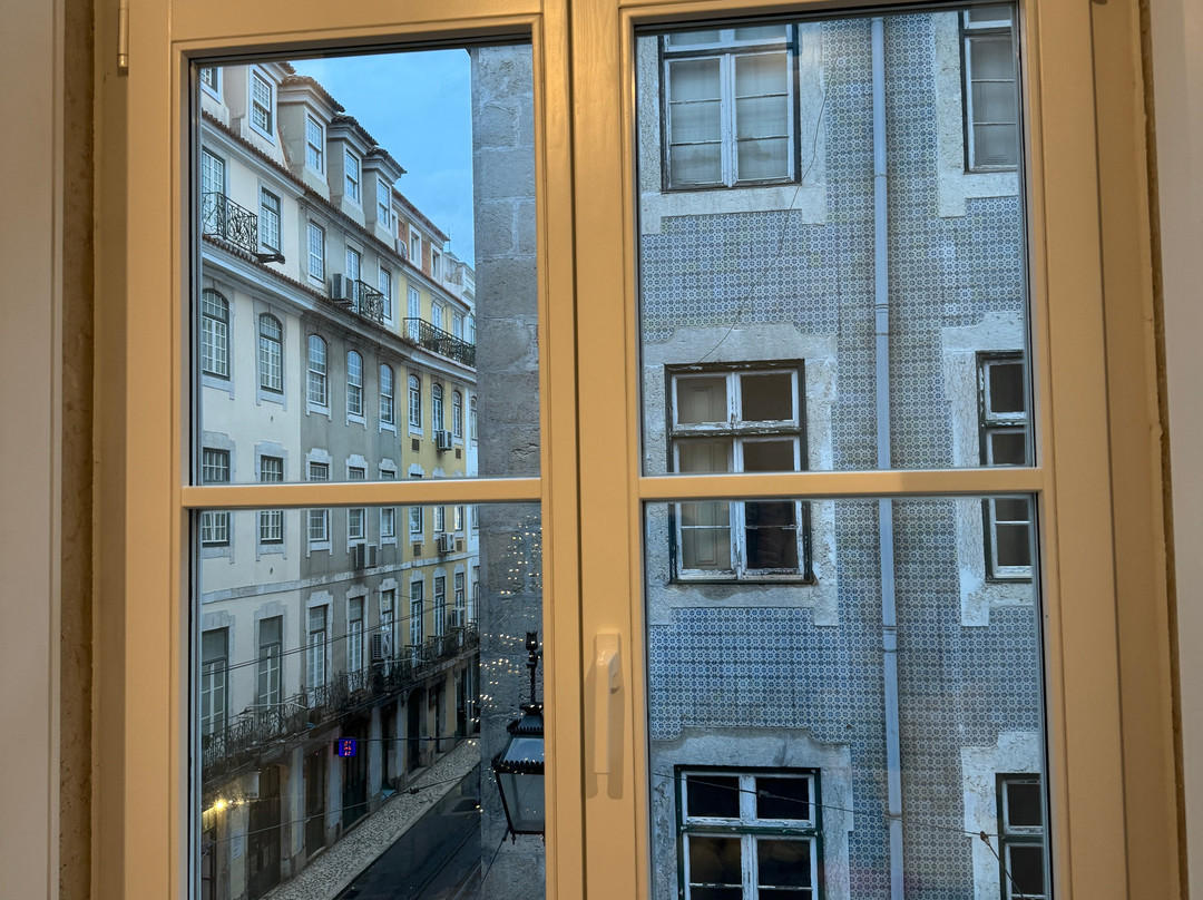 The House on Pink Street主图