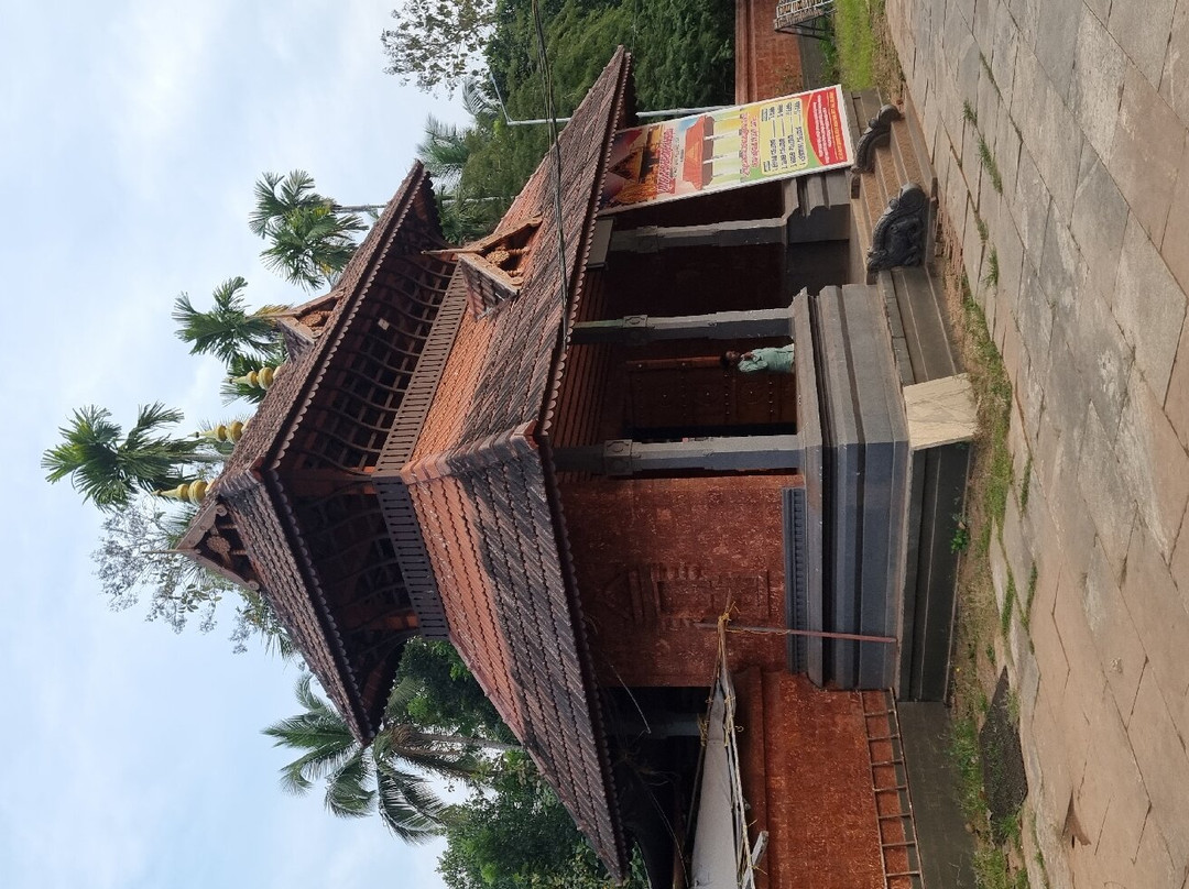 Mridanga Saileswari Temple景点图片