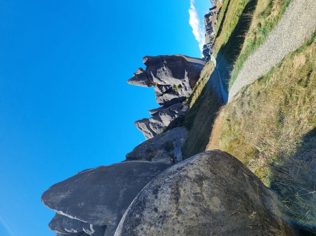 Kura Tawhiti Conservation Area-Castle Hill必去景点