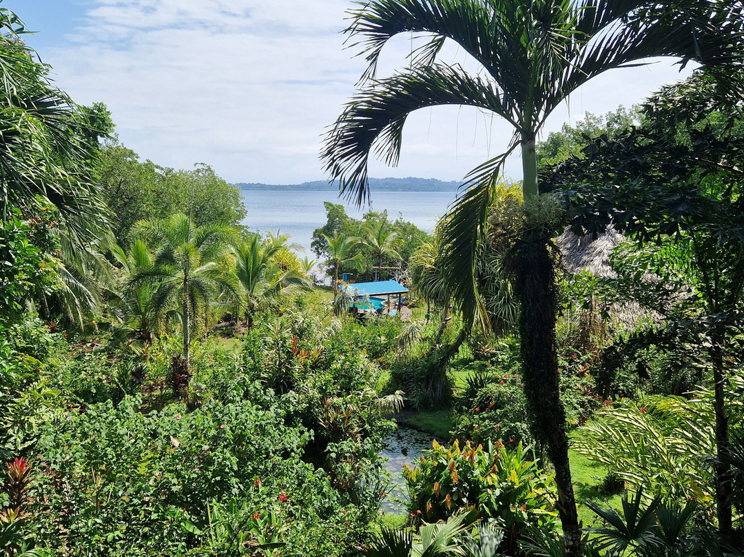 Dolphin Bay Hideaway主图