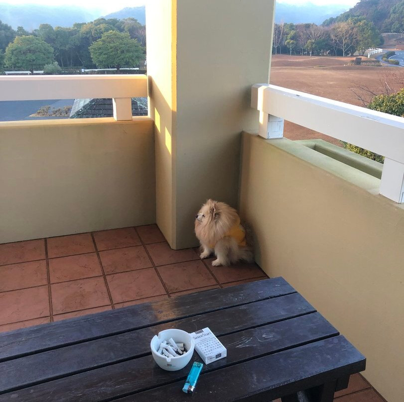 Hotel Blueberry Hill Katsuura主图