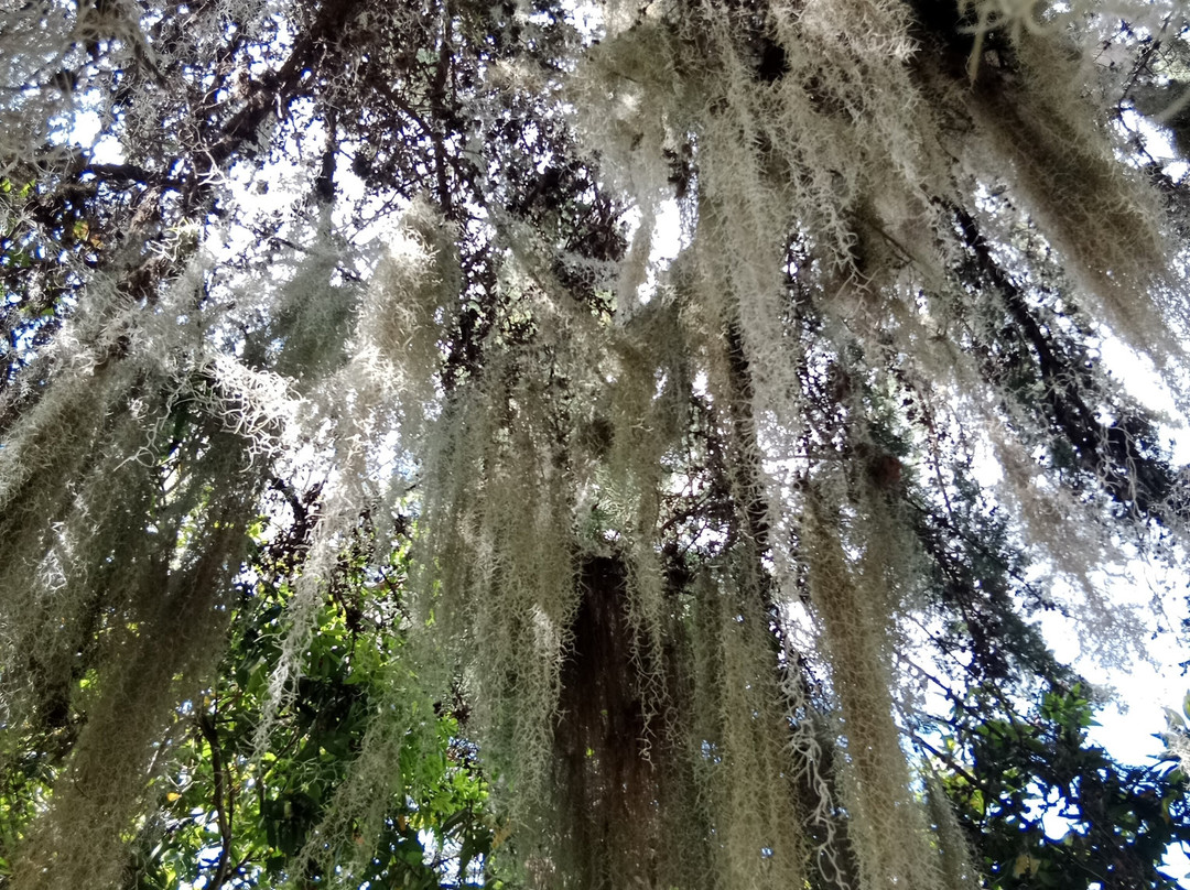 Eco Parque Conscientia Universallis-莱瓦镇必去景点