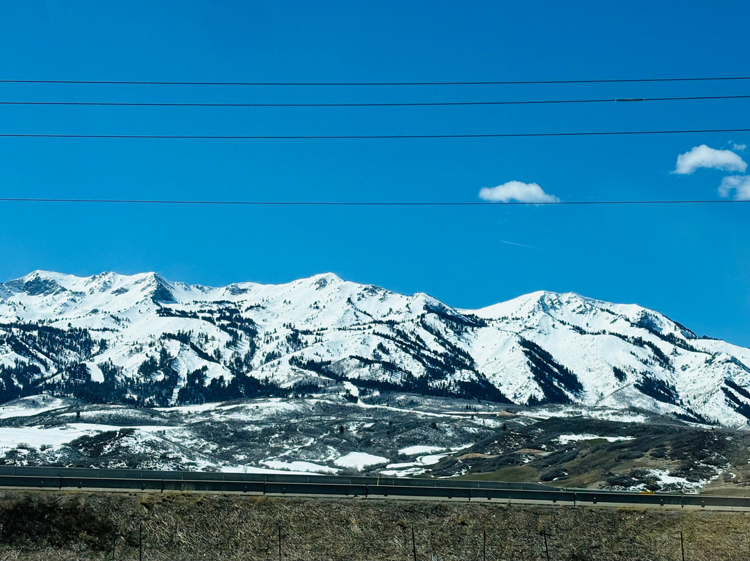 Thurston Farms-Morgan必去景点