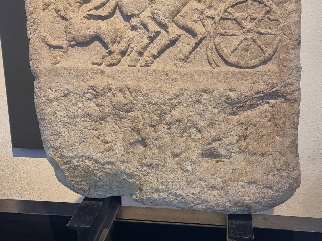 Civic Museum (Museo Civico di Padova)-帕多瓦必去景点