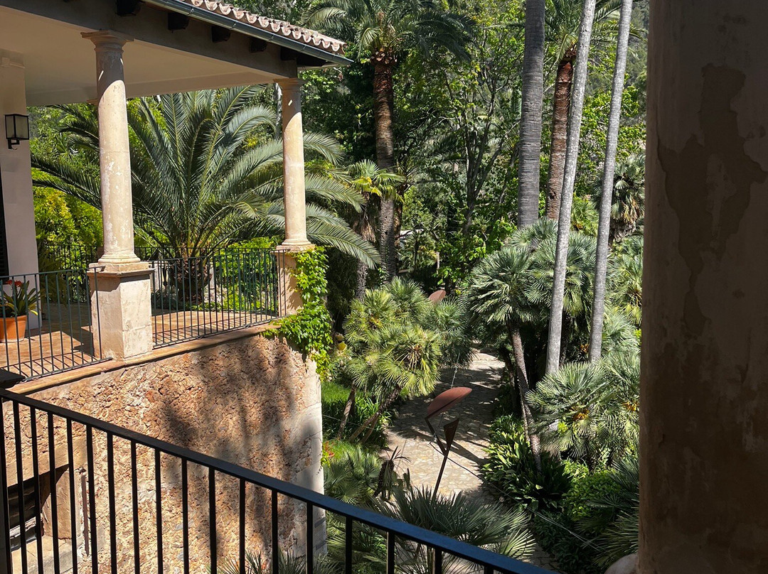 Jardín Botánico de Sóller-索耶尔必去景点