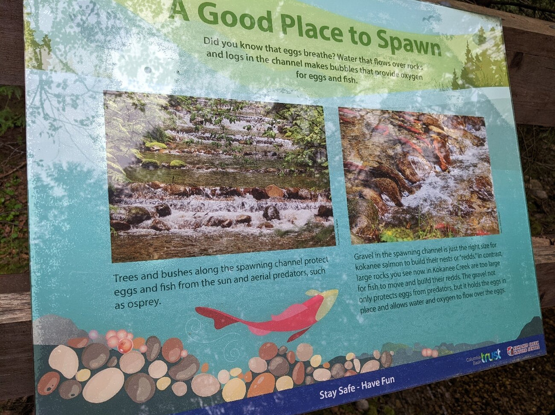 Kokanee Creek Provincial Park景点图片