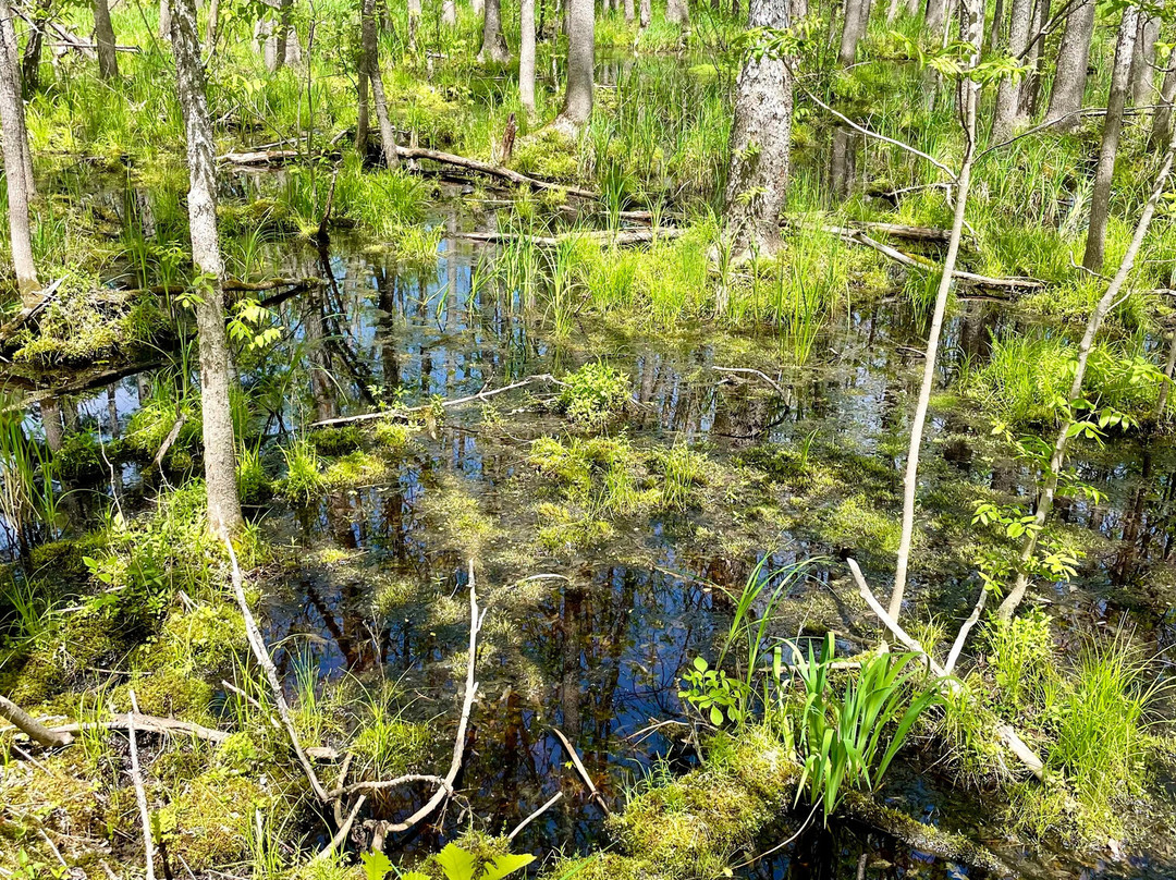 Kettle Falls Hotel主图