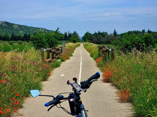 Cycletic Rental Service-里昂必去景点