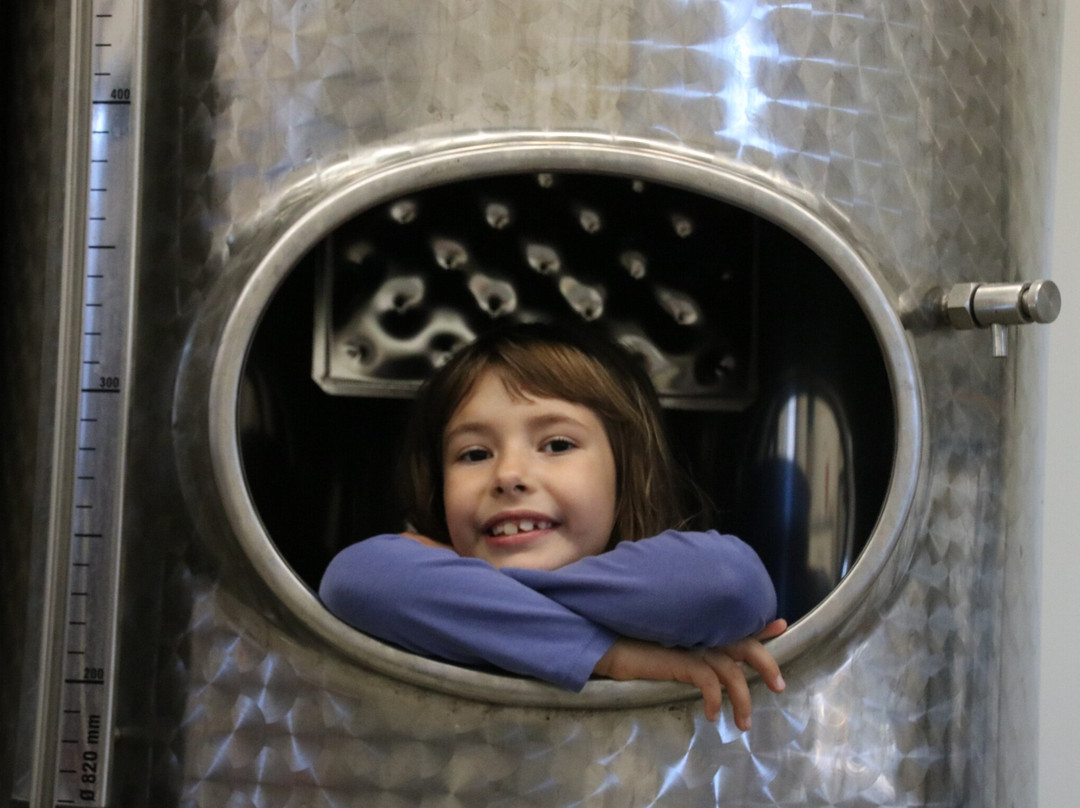 Weingut Volker Jobelius-Bruttig-Fankel必去景点