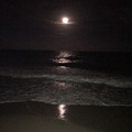 highlandbeachflorida