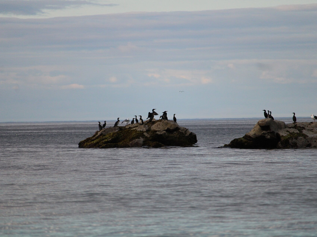 North 58 Sea Adventures景点图片