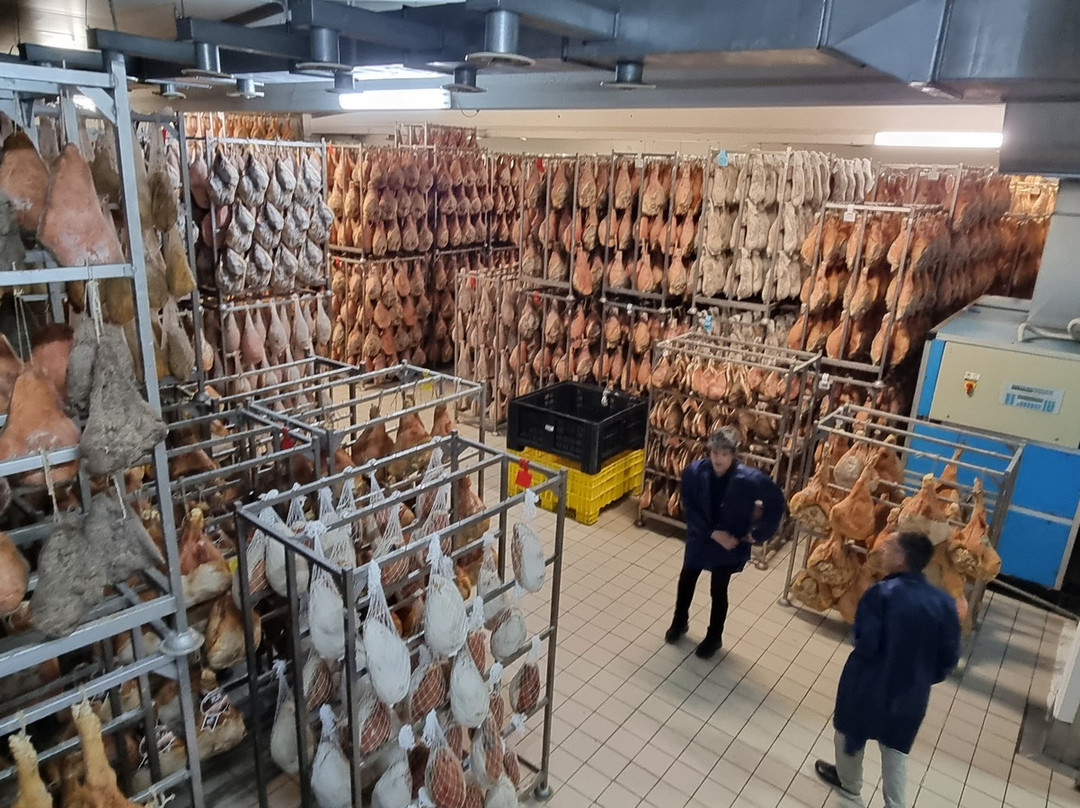Emilia Delizia Food Tours景点图片