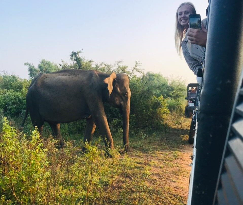 Udawalawe wild safari private tour 4 hours with guide skip the line by katupila tours