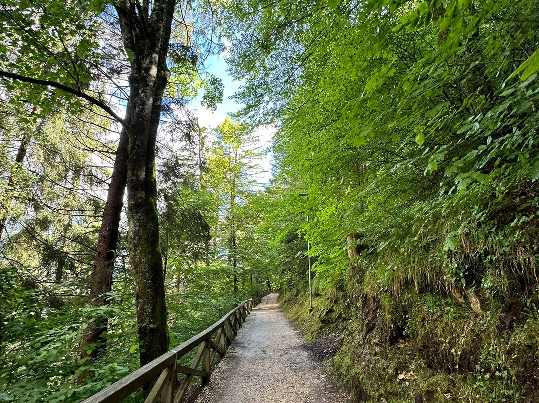 Parco Roccolo - Sant'Alipio-Pieve di Cadore必去景点