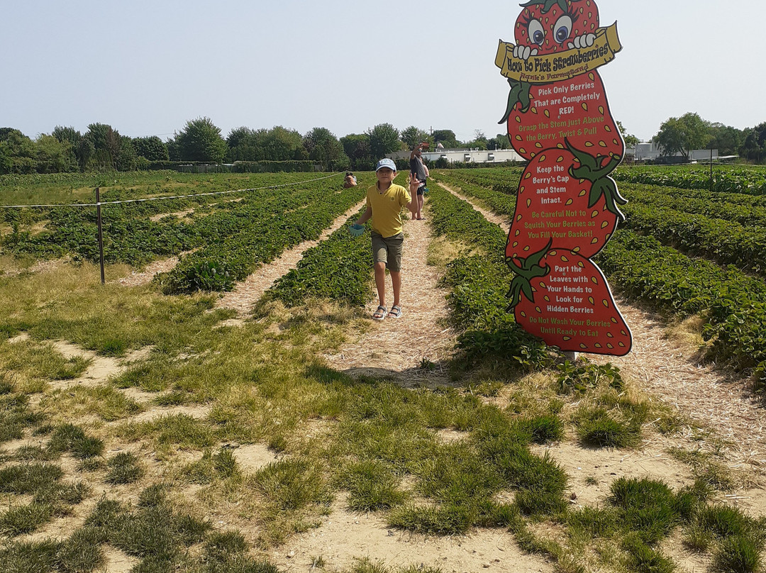 Hank's Pumpkintown‎景点图片