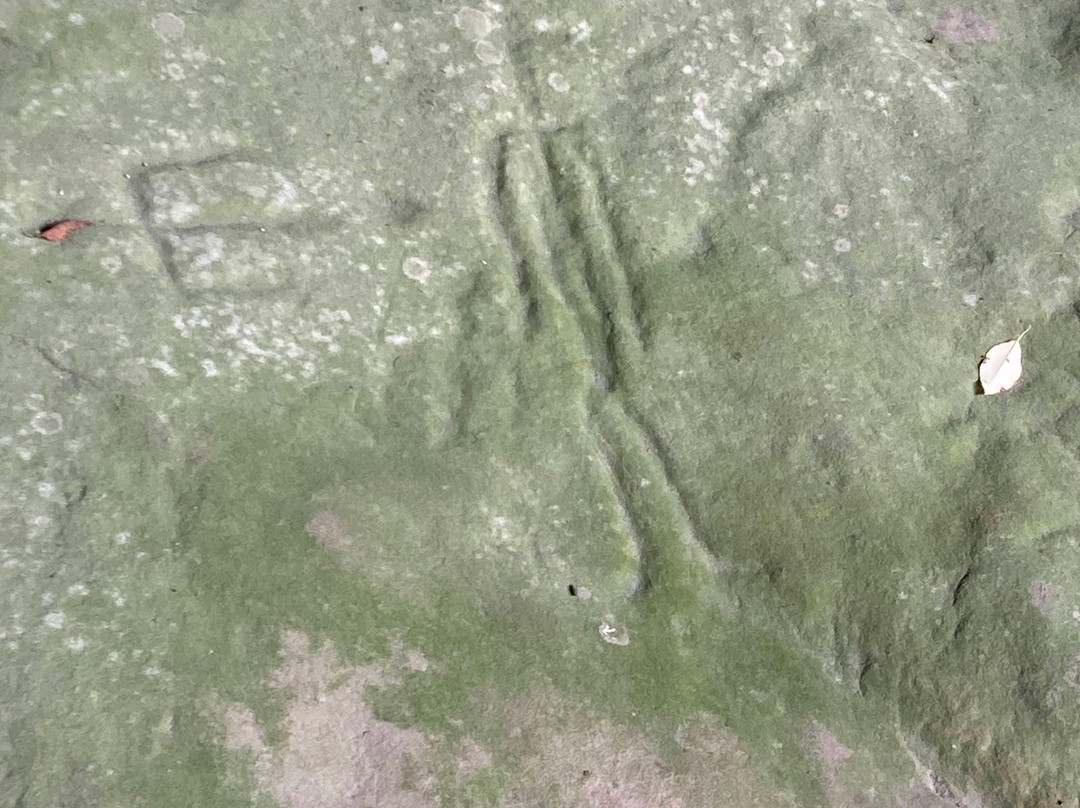 Sanilac Petroglyphs景点图片