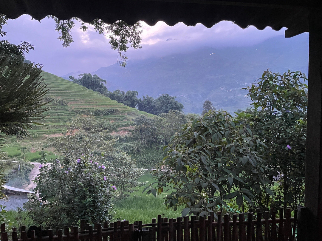 Sapa Big Tree Hmong Homestay主图
