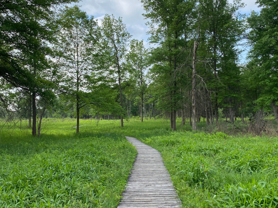 Irwin Prairie State Nature Preserve景点图片