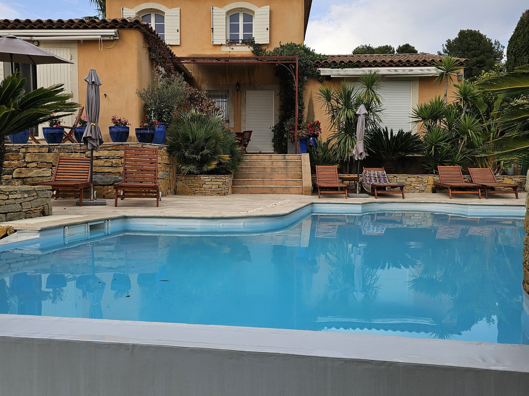 La Cigale sous l'Olivier主图