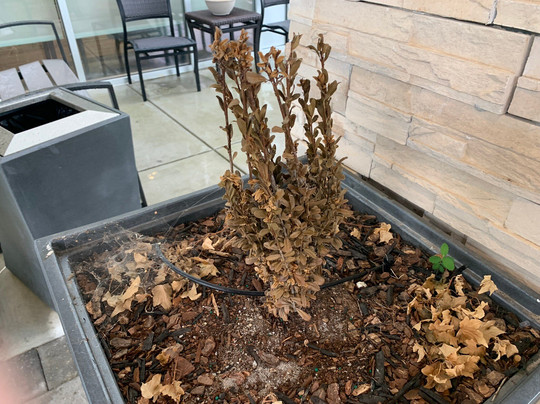 Holiday Inn Express & Suites Huntsville â Space Center by IHG主图