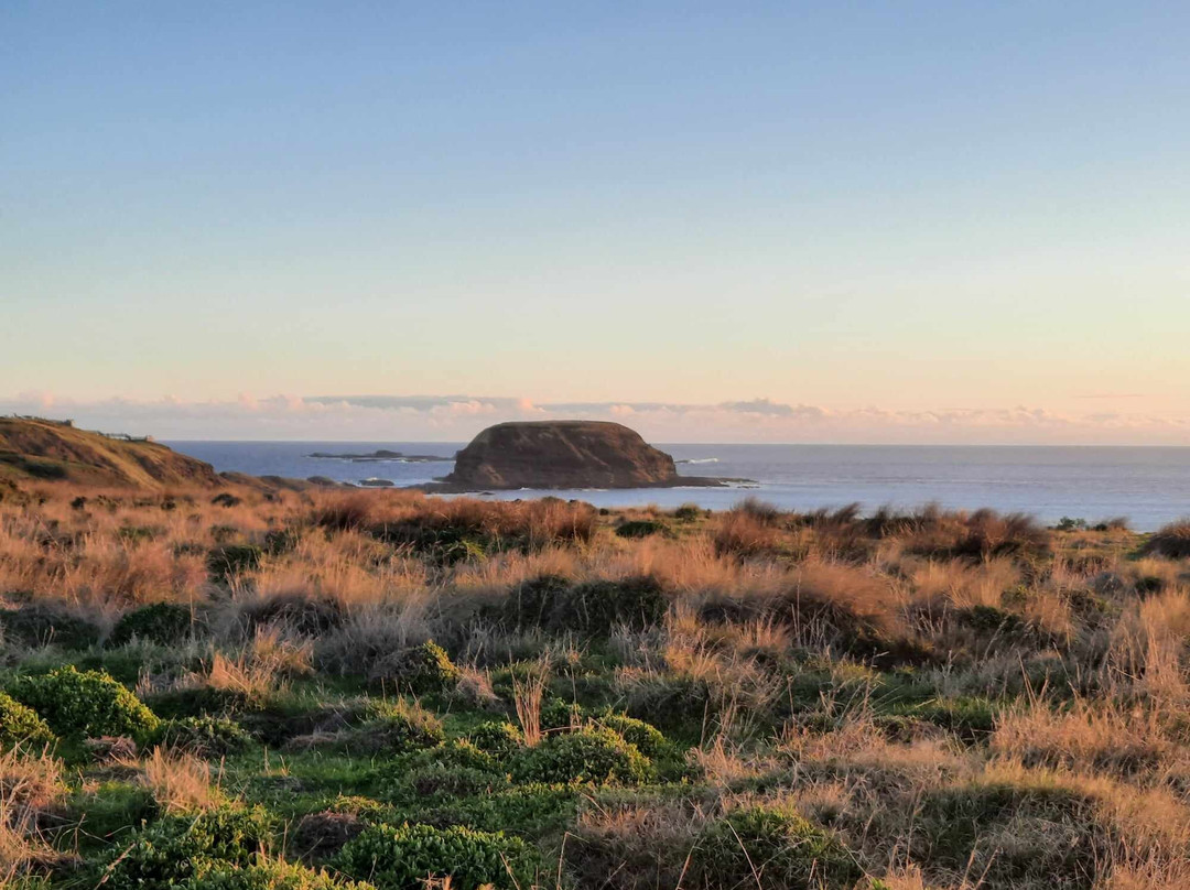 亚瑟菲利普汽车旅馆主图