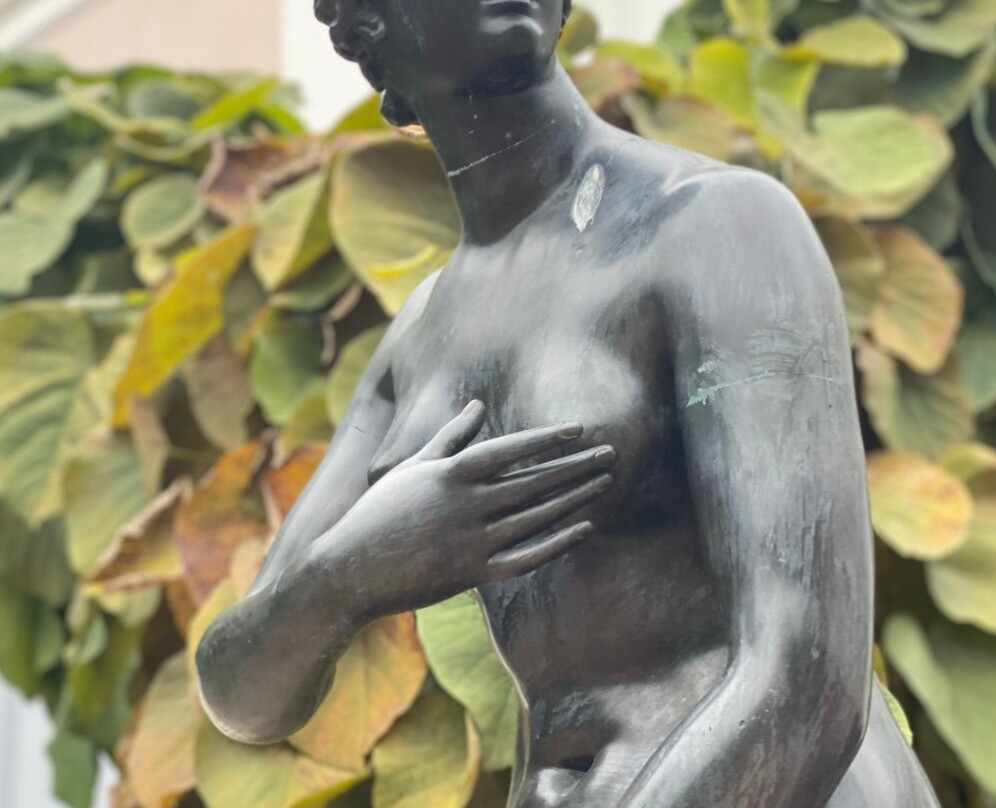 Venera Meditseyskaya