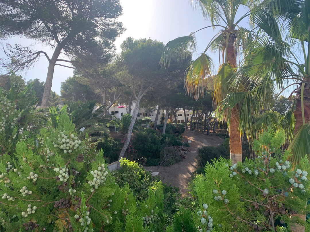 Club Cala Azul主图