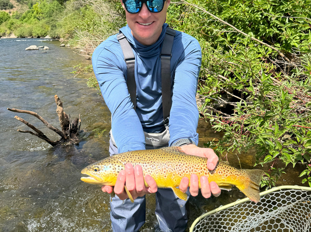 Wasatch Guide Service-李海必去景点