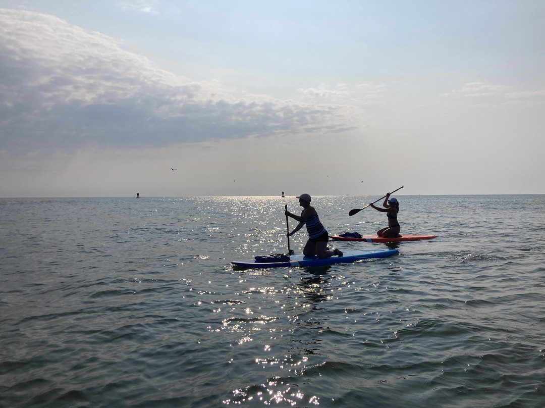Rudee Inlet Stand Up Paddle-弗吉尼亚海滩必去景点