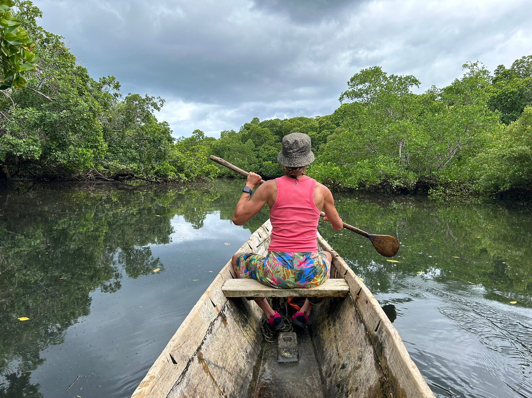 Pemba Tours-奔巴岛必去景点
