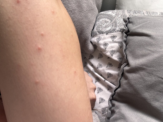 Residenza La Campana主图